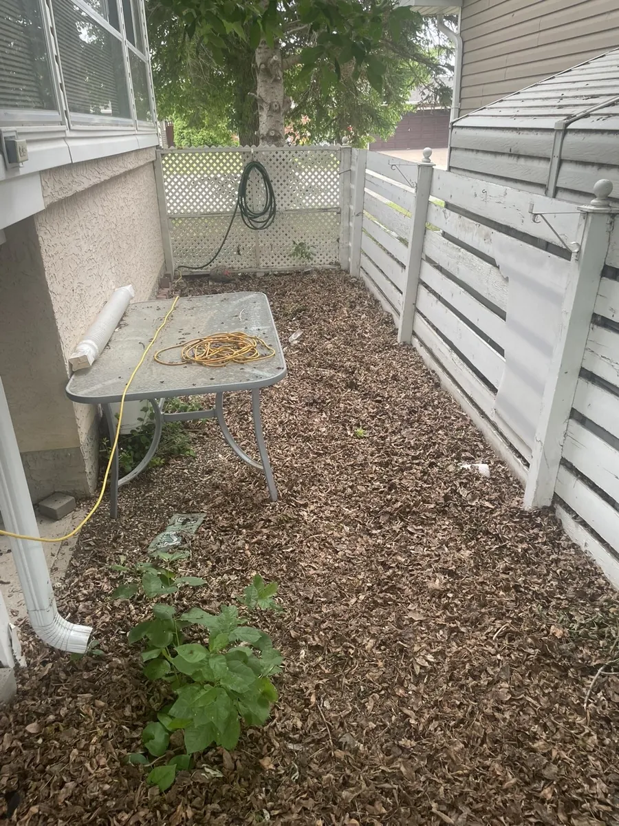 Leaf-covered side yard before fall cleanup in Moose Jaw Saskatchewan